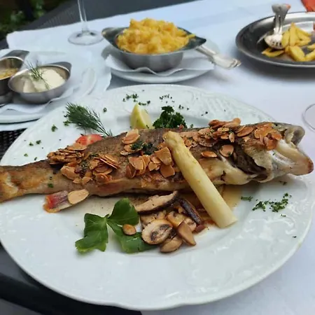 Adler 3*